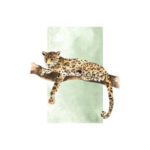 Komar Poster Lazy Leopard (1 stuk)