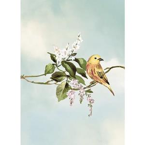 Komar Poster Gazouillis des Oiseaux (1 stuk)