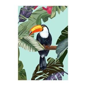 Komar Poster Toco Toucan (1 stuk)