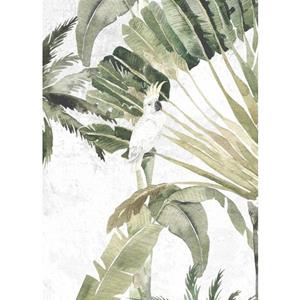 Komar Poster Oiseau Cacadoo (1 stuk)