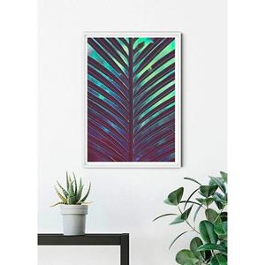 Komar Poster Hide Hoogte: 70 cm