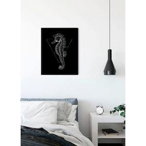 Komar Poster Sea Horse black Hoogte: 40 cm