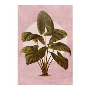 Komar Poster Créatures Végétales (1 stuk)