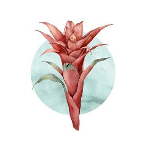 Komar Poster Funky Flower (1 stuk)