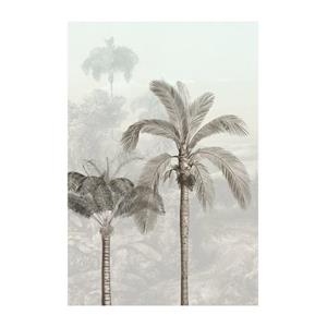 Komar Poster Jungle Panorama (1 stuk)