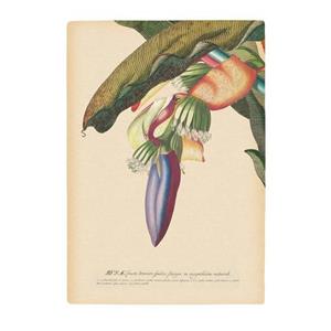 Komar Poster Banana Heart (1 stuk)