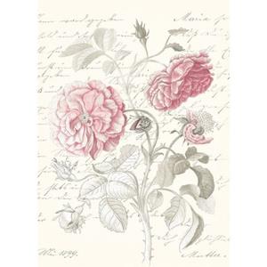 Komar Poster Poème Rose (1 stuk)