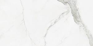 Jabo Tegelsample:  Statuario pulido vloertegel 60x120 gerectificeerd