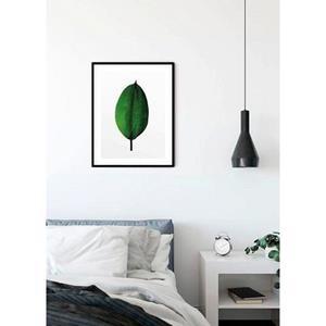 Komar Poster Ficus Leaf Hoogte: 50 cm