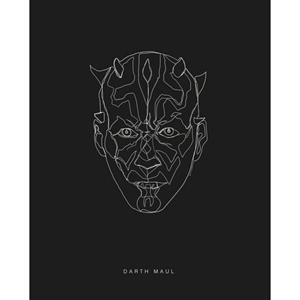 Komar Poster Star Wars Lines dark Side bek