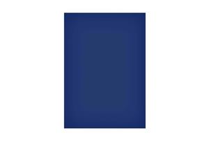 Magneetvel  200x300mm blauw