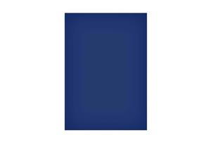 MAUL Magneetvel  200x300mm blauw