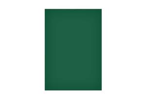 Magneetvel  200x300mm groen