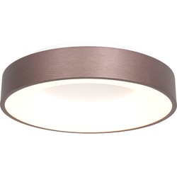 Steinhauer - Deckenleuchte Ringlede - Weiß - 2562BR - Bronze & Weiss