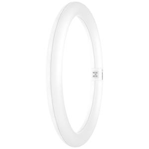 OSRAM LED EEK: E (A - G) G10q Ringform 18.3W = 32W Neutralweiß (Ø x H) 300mm x 300mm 1St.