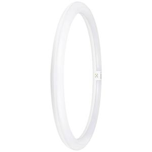 OSRAM LED-Ring Energielabel: E (A - G) G10q 24 W = 40 W Neutraalwit 1 stuk(s) (Ø x h) 400 mm x 400 mm