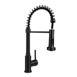 Boss & wessing Keukenmengkraan  Colorato 49.5 Cm Flexibele Uitloop Mat Zwart