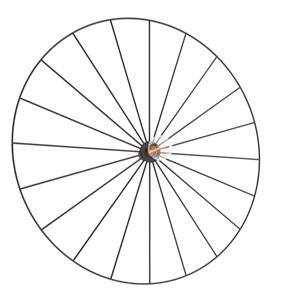 Sollux - Deckenleuchte/Wandleuchte Sirkel 1xE27 Neutralweiß 60cm