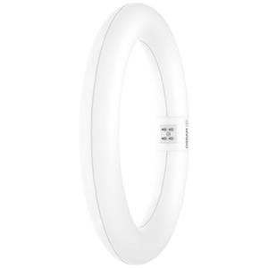 OSRAM LED-Ring Energielabel: E (A - G) G10q 11 W = 22 W Koudwit 1 stuk(s) (Ø x h) 312 mm x 312 mm