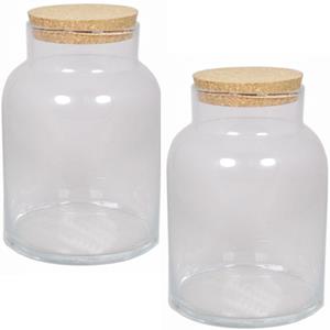 Floran 2x Glazen terrarium vazen 11 liter met kurk deksel 21 x 31 cm -