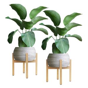 ML-Design Set van 2 plantenhouders Wally | 