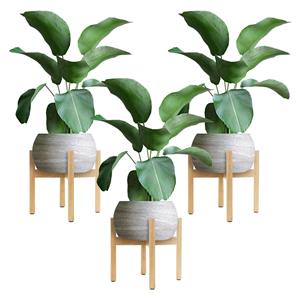 ML-Design Set van 3 plantenhouders Wally | 