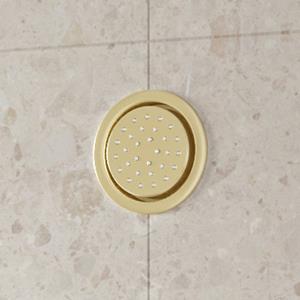Saniclear Brass inbouw massage jet rond geborsteld messing - mat goud