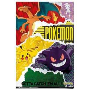 Reinders! Poster Pokemon - gotta catch 'em all