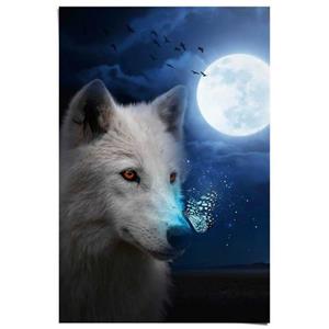 Reinders! Poster Witte wolf