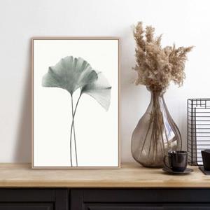 Reinders! Poster Ginkgo blad