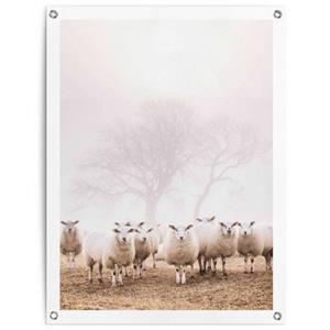 Reinders! Poster Schafe im Nebel