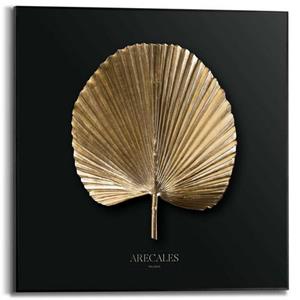 Reinders! Poster Areca Gold