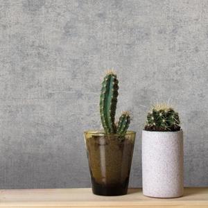 Praxis Easydécor Vliesbehang Concrete Metallic Taupe