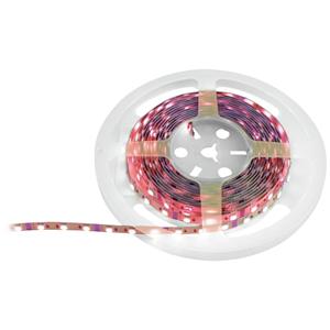 Eurolite 50530136 LED-strip 12 V 5 m RGB