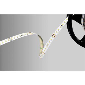Barthelme 51542234 LED-Streifen 24V 5000mm Kaltweiß