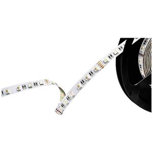Barthelme 51542428 LED-Streifen 24V 5000mm RGBW