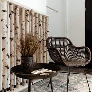 Decoratietakken Berken Roomdivider | Met naturel voet | 165x60cm