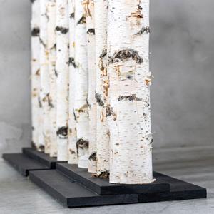 Decoratietakken Berken Roomdivider | Thor | Met zwarte voet | H140cm