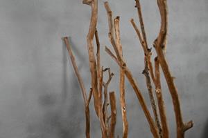Decoratietakken Eikenstam Roomdivider fijn | Met zwarte voet | 165x60cm