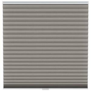 Fenstr plisségordijn Chicago dubbel 45mm lichtdoorlatend - taupe (30024)