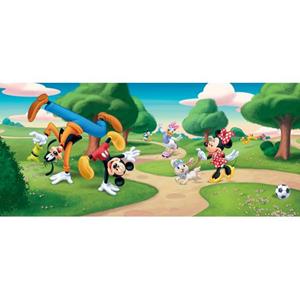 Disney Poster Mickey Mouse Groen, Blauw En Rood - 600871