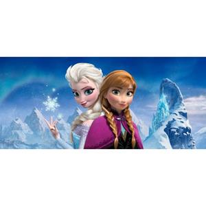 Disney Poster Frozen Anna & Elsa Blauw En Paars - 600889