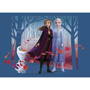 Disney Poster Frozen Anna & Elsa Blauw, Paars En Oranje - 600667