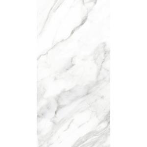 Praxis Wand- En Vloertegel Loop Marmo Bianco - Keramiek - Wit - 30x60cm - Pakketinhoud 1,51m²