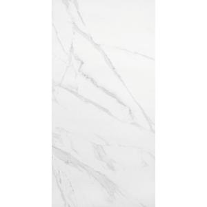 Praxis Wand- En Vloertegel Calacatta Polished - Keramiek - Wit/grijs - 60x120cm - Pakketinhoud 1,44m²