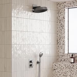 Saniclear Evolution inbouw regendouche met 2 standen handdouche RVS