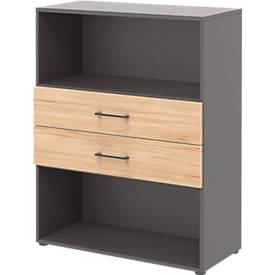 röhr Mehrzweckschrank Aktenregal VIII