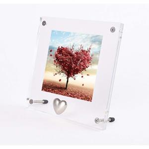 Urnwebshop Plexiglas Fotolijst met Zilver Tinnen Ashartje (0.005 liter)