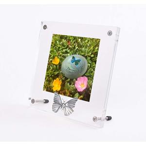 Urnwebshop Plexiglas Fotolijst met Zilver Tinnen Asvlinder (0.005 liter)