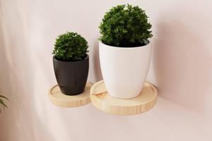 Kalune Design Wandplank Flora | 